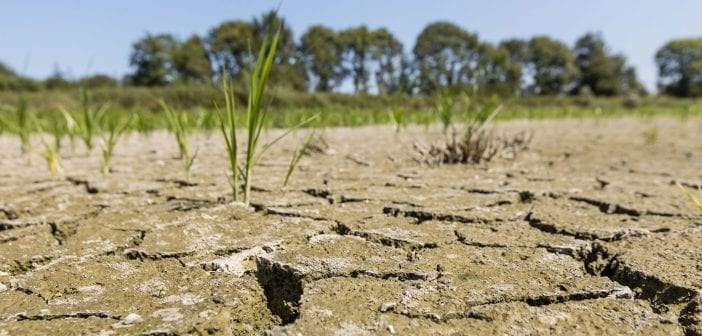 Les statistiques en parlent eux-mêmes. A l’horizon 2030, l’ONU estime que plus de 100 millions d’Africains seront affectés par le réchauffement planétaire.