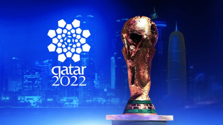 Qatar 2022 : les 5 pays favoris de la coupe du monde de la zone Afrique